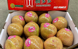Trung Quốc được mùa với loại quả Việt Nam đang trồng rất nhiều: Châu Âu liên tục chốt đơn, diện tích trồng hơn 100.000 ha