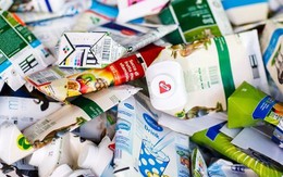 Tetra Pak triển khai thu gom, tái chế vỏ hộp giấy tại Việt Nam
