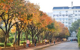 Một trường đại học top đầu Việt Nam thông báo có thêm 3 trường trực thuộc