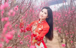 Chính thức 'chốt' nghỉ 7 ngày Tết âm lịch và 4 ngày lễ Quốc khánh năm 2027