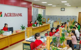 Ngân hàng rao bán nợ của doanh nghiệp từng mang tên Nghệ sĩ Quyền Linh