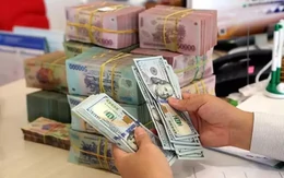 Bất ngờ kiều hối chuyển về TPHCM