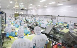 “Ông lớn” sản xuất nha đam, thạch dừa GC Food (GCF) bị phạt gần nửa tỷ đồng vì loạt vi phạm