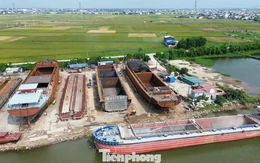 Bí thư Tỉnh ủy Ninh Bình khảo sát các xưởng đóng tàu nằm trong hành lang đê điều