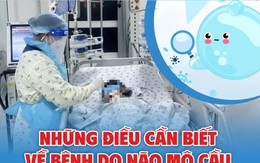 Những điều cần biết về bệnh do não mô cầu