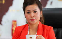 Bà Lê Hoàng Diệp Thảo đang làm gì trên đất Mỹ?