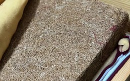 5 thứ trong nhà dễ là ổ phát tán Formaldehyde, hít mỗi ngày mà cứ tưởng vô hại