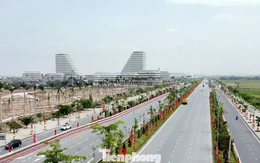 Hải Phòng đấu giá khu 'đất vàng', giá khởi điểm gần 2.000 tỷ đồng