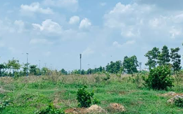 BĐS Thành Ngân bị thu hồi gần 9.300m2 đất do vi phạm nghĩa vụ tài chính