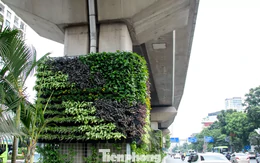 Trụ đường sắt, hầm chui Hà Nội 'lột xác' sau khi phủ cây xanh