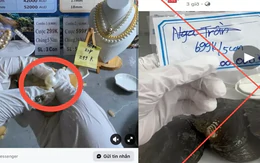 Mồi nhử tiền tỷ sau những phiên livestream khui ngọc trai