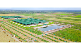 Vì sao Thaco Agri bị xử phạt?