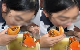 Bức ảnh cô bé ăn cua bỗng thổi bùng tranh cãi: Tình yêu thương bị xuyên tạc có thể méo mó đến mức này!