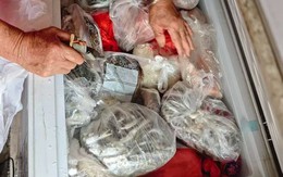 Lời khuyên cho những gia đình thường xuyên cấp đông thực phẩm