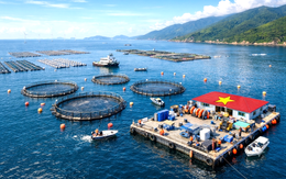 Việt Nam hạ thủy "cỗ máy in tiền" 67 tỷ đồng xuống đặc khu Cô Tô, mở lối săn kho báu 670.000 tấn/năm