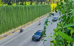 Bắc Bộ ngày nắng, có mưa vài nơi