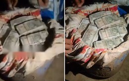 Phát hiện 13,5 tỷ đồng tiền mặt chôn dưới lòng đất