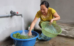 Lời khuyên cho tất cả các gia đình đang ngâm rau quả trong nước muối thay vì rửa kỹ dưới vòi nước