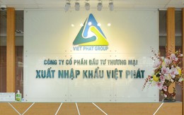 Cổ phiếu VPG của Xuất nhập khẩu Việt Phát vào diện kiểm soát