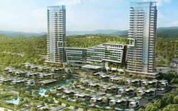 Gia hạn sử dụng 7.774 m² đất tại xã Phúc Thịnh cho Công ty Tonkin