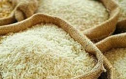 Giá gạo xuất khẩu Ấn Độ lên cao nhất hơn một năm