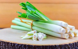 Lời khuyên đến tất cả các gia đình đang trồng cây sả để ăn