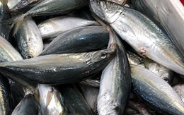 Loại cá bán đầy chợ Việt, thịt mềm dễ ăn, rẻ hơn cá hồi nhiều lần nhưng có thứ não bộ trẻ rất cần
