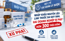 Nhập nguyên liệu làm thuốc sai quy định, hai doanh nghiệp bị phạt hơn 300 triệu