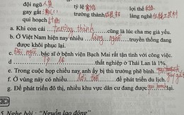 Hai từ trong bài tập tiếng Việt gây tranh luận: Bạn cũng rất dễ nhầm lẫn!