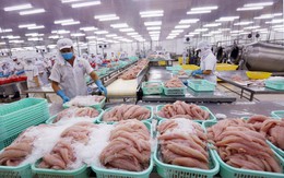 VASEP: Cùng một loại tôm, cá, mực nhưng có nơi miễn thuế, có nơi áp dụng thuế 8% hoặc 10%