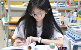 Phát hiện nữ sinh 13 tuổi không biết code, nghĩ ra một thứ cho chính mình rồi kiếm 65 triệu đồng trong 3 ngày