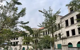 Đất trong bao lâu không sử dụng thì bị coi là bỏ hoang?