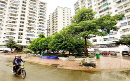 Thêm vốn cho nhà ở xã hội tại TPHCM
