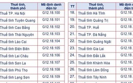 Cơ quan thuế các cấp dùng mã định danh điện tử mới từ tháng 10/2026