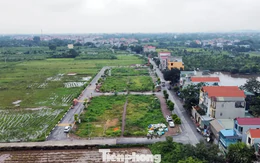 Quy định thế nào là đất bỏ hoang, bị đánh thuế?