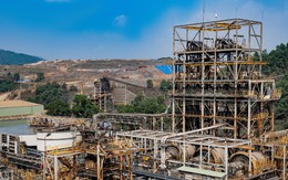 6.000 đồng/cổ phiếu năm 2026: MSR đặt nền móng cho chính sách cổ tức tiền mặt dài hạn