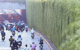 Những hầm chui Hà Nội trước ngày phủ xanh