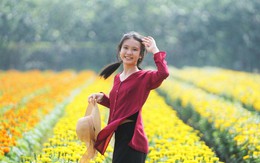 Phát hiện ngôi làng ở Việt Nam có hơn 2.000 giống hoa 'không chạm đất', mỗi lần chăm cây phải làm việc này