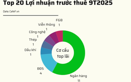 20 DN niêm yết có lợi nhuận trước thuế lớn nhất năm 2025: VinHomes vượt qua loạt ngân hàng giữ vị trí đầu bảng, 2 doanh nghiệp BĐS tăng trên 1.000%