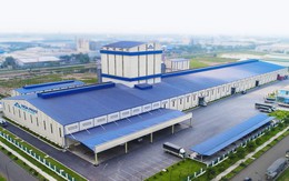 Nông nghiệp Hòa Phát và Hạ tầng Gelex chính thức lên sàn HoSE cùng một ngày