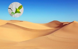 Phát minh làm rung chuyển ngành xây dựng: Tạo ra bê tông từ thứ tưởng không thể dùng, bước ngoặt cho vật liệu phổ biến thứ 2 thế giới