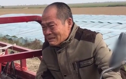 Anh nông dân gửi tiết kiệm 1,1 tỷ đồng nhưng nhân viên khẳng định tiền đã rút sạch, tòa tuyên bố: “Ngân hàng phải trả 1,2 tỷ đồng”