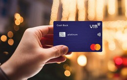 Tết thảnh thơi với quy tắc 50–30–20 và các giải pháp tài chính từ VIB