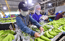 Tạm dừng Nghị định 46, doanh nghiệp vẫn chưa hết lo