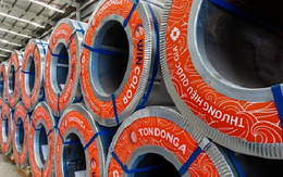 Tôn Đông Á thành lập công ty con kinh doanh bất động sản