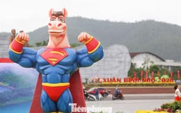 Ngựa 'mặt cộc' cầm iPhone 17, ngựa 'Superman' gây sốt