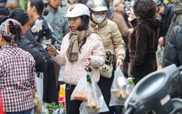 Giá đồ lễ cúng ông Công ông Táo rẻ hơn mọi năm, người Hà Nội tấp nập mua