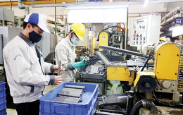 Công bố số liệu tổng điều tra kinh tế 2026 sớm 7 tháng