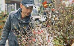 Chợ hoa cổ nhất Hà Nội ngày 23 tháng Chạp: Quất chum, quất mini "chiếm sóng", đào khủng vắng bóng, người xem nhiều hơn người mua