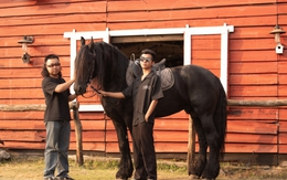 Ngựa đen tiền tỷ “kéo khách” dịp Tết Bính Ngọ: Khách sẵn sàng chi 10 triệu, studio tất bật chạy trend